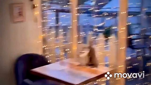 Светлогорск 03.12.2022г. смотреть онлайн