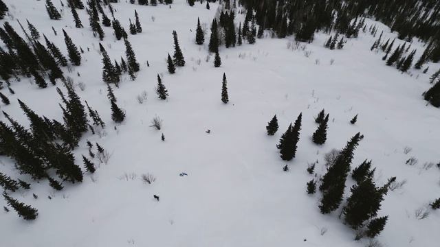 Скитур выходного дня в Восточных Саянах / Weston Backwoods Splitboard