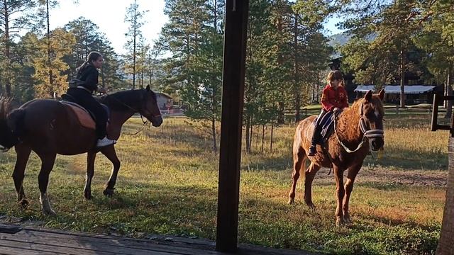 поиск сокровищ(2) смотреть онлайн