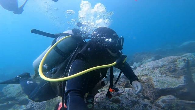 Scuba Diving in khorfhakan, fujairah Uae смотреть онлайн
