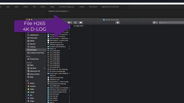 Come importare file H265 e D-LOG in Adobe Premiere #h264 #dlog #filedjidlog смотреть онлайн