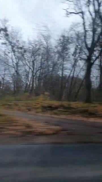 Фильм 4045 Мимо немецкой брусчатки #nemosvetlogorsk смотреть онлайн