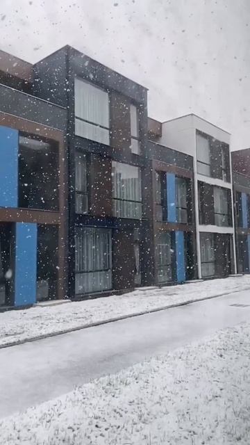 Снег в Батуми, в квартале Polo Villas. январь 2021 смотреть онлайн