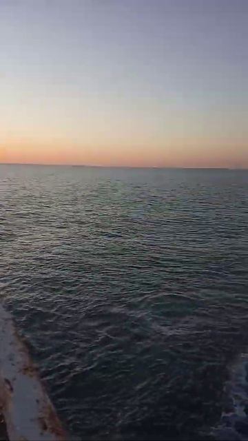 С любовью из Сочи Адлер 🏝️ 5.12.2020 пляж Южная Взморья(2) смотреть онлайн