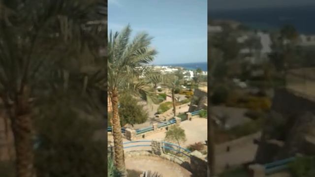 Queen Sharm Hotel.. номера...Шарм Эль шейх смотреть онлайн