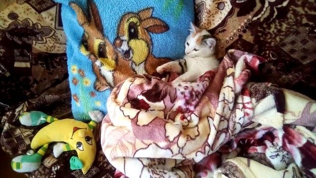 ЖИВУ КАК ПРИНЦЕССА.