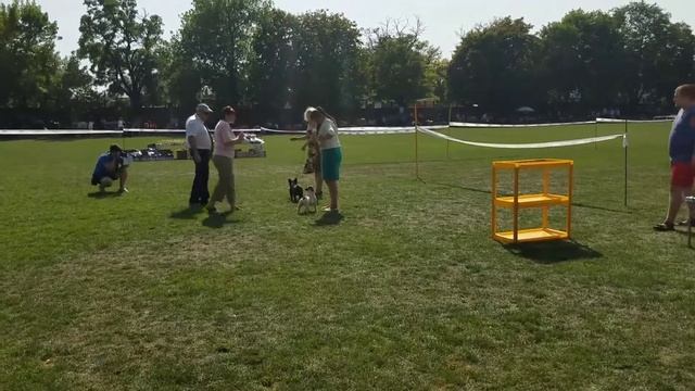 Ума Осень Таганьего Рога г. Таганрог ЛПП1 смотреть онлайн