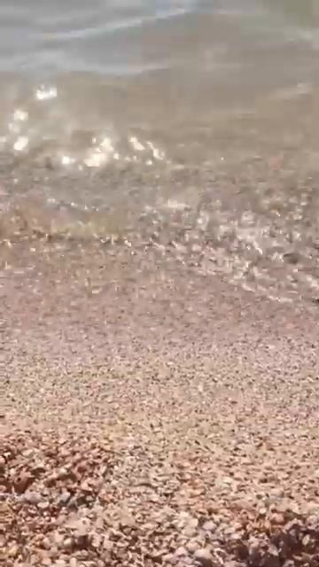 Азовское море Коса Долгая @GD_KOVCHEG_DOLZHANSKAY