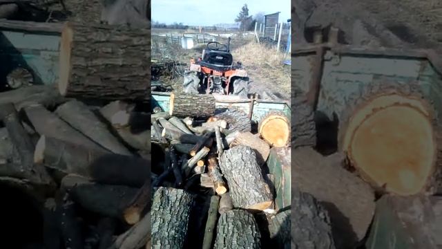 Чи можна збирати і рубати дрова в лісі, які штрафи?