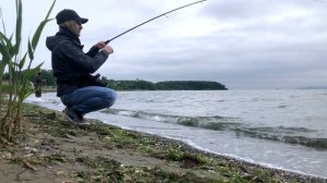 Ловля Саргана Владивосток 2024