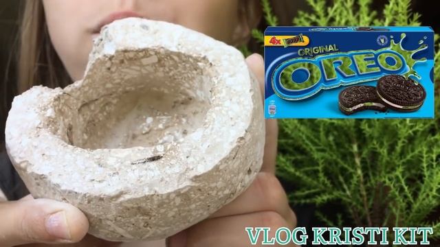 Чашка с пастой/A cup of pasta смотреть онлайн