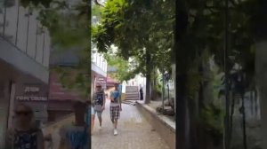 Путь от MIRROR FAMILY до моря