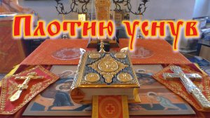 ПЛОТИЮ УСНУВ