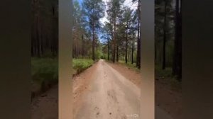 #Улус Кучегэр на севере Бурятии - уникальное место расположения термально - грязевых источников