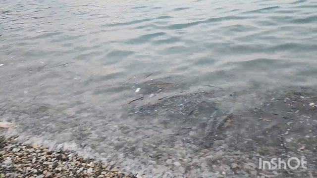 2024г. Небуг //День 3.// Начинаю привыкать 🤗 // Вкусно, но мало🤷🏻//♀️ //Грязно! смотреть онлайн