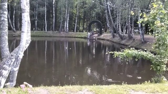 Лето. Пруд. Утки. Санаторий Красный Холм. Музыка для релакса. смотреть онлайн