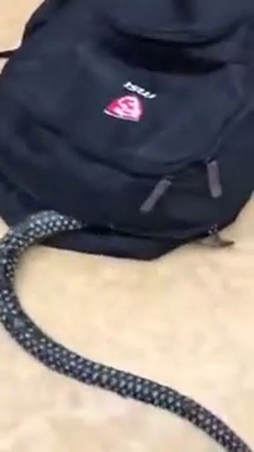 Самый страшный видео смотреть онлайн