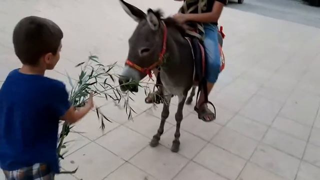 Молла Насредин и Леля смотреть онлайн