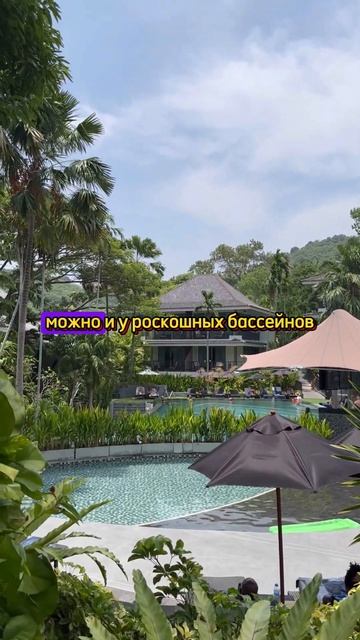 Тропический рай: ехали в отель - попали в сказку #пхукет #таиланд смотреть онлайн