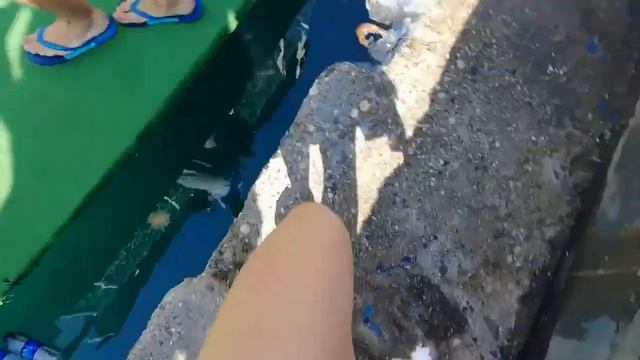 KEMER VLOG: Дайвінг, погані коктейлі та мега краєвиди🌊 смотреть онлайн