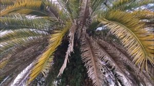 Сочи санаторий имени Дзержинского