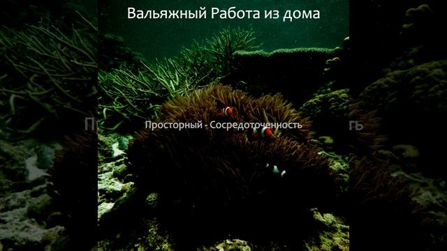 Умная Клуб смотреть онлайн