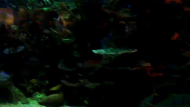 Водный мир смотреть онлайн