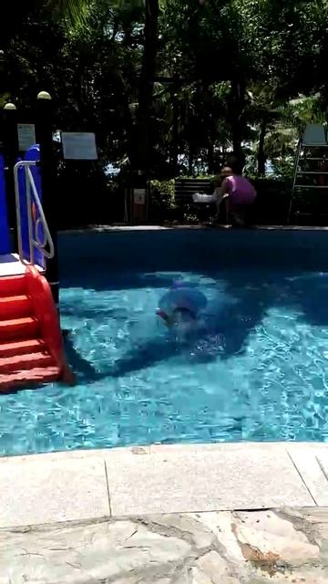 Костя в детском бассейне Sunshine Resort Intime Sanya 5* о. Хайнань Китай смотреть онлайн