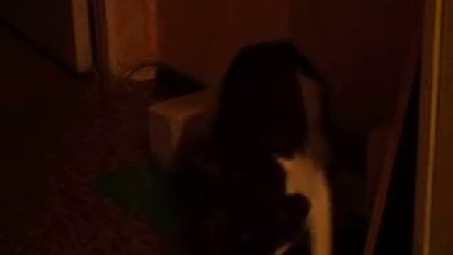 Славик...Пермь) смотреть онлайн