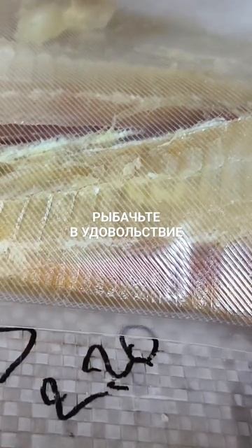 Вкусное Филе вяленого морского ерша.