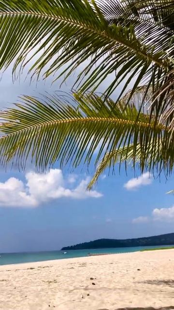 Пляж сейчас Таиланд Пхукет смотреть онлайн