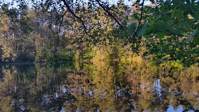 14 линия Пуща-Водица смотреть онлайн