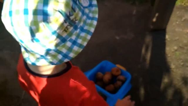 ВЛОГ: сытный завтрак, как я крашусь, Арсюша помогает, сбор урожая, читаю сказку:) смотреть онлайн