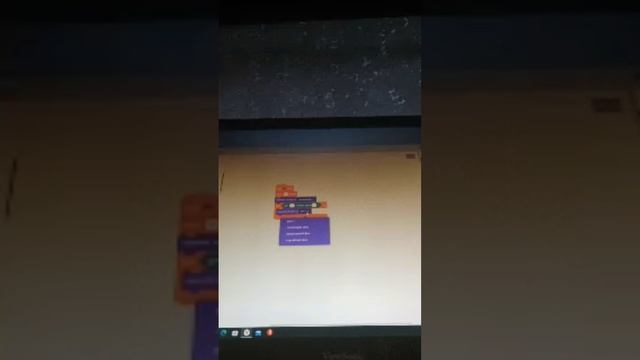 молодые програмисты