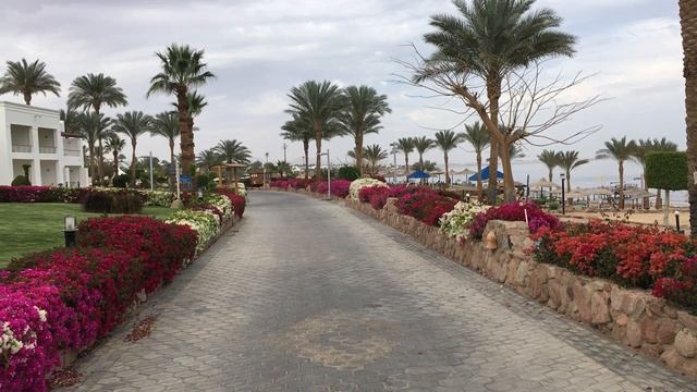 Шарм эль Шейх! Renaissance Golden View Beach Resort! Цветочная дорожка! смотреть онлайн