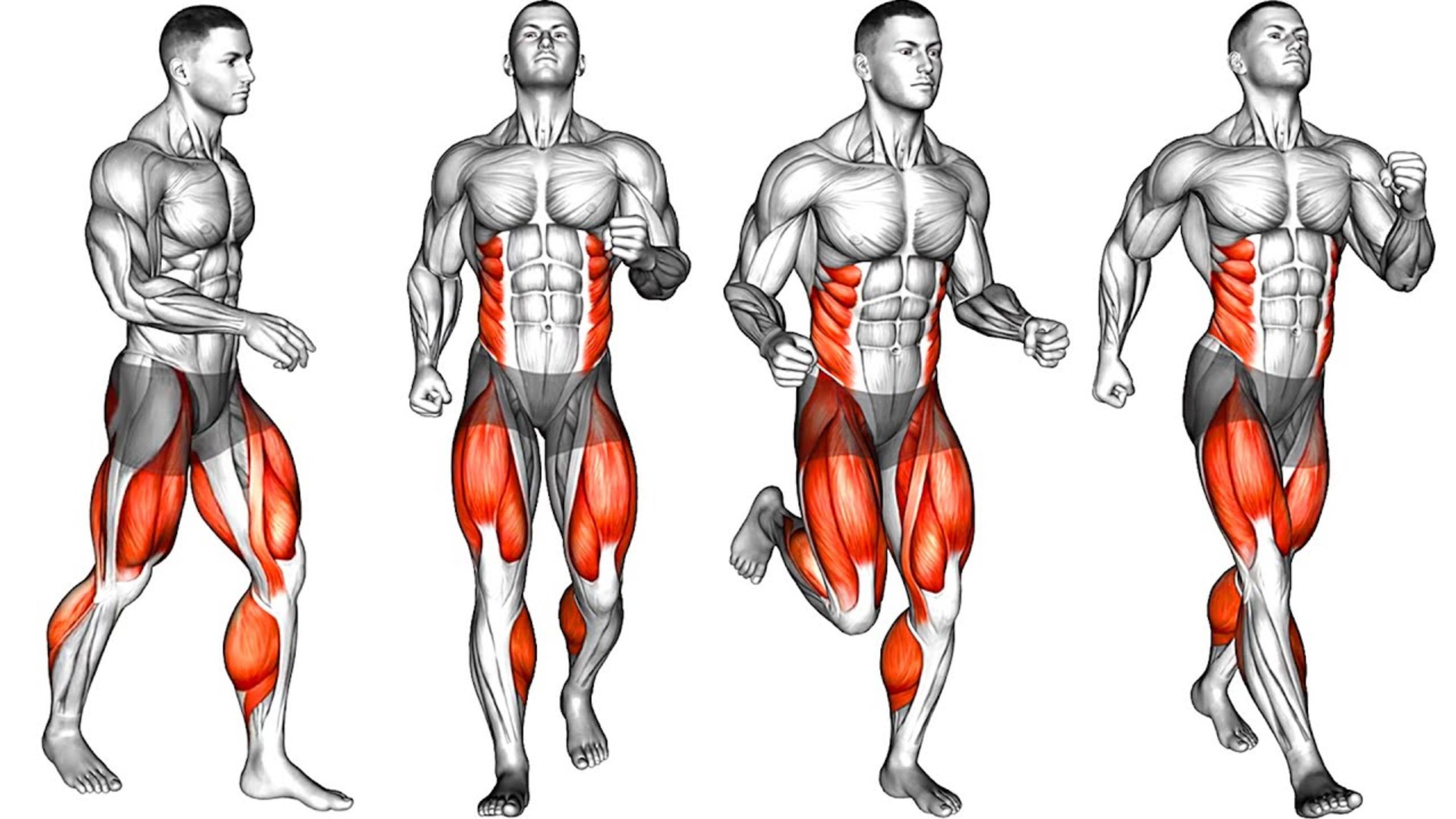 Интенсивная тренировка для сжигания жира смотреть онлайн