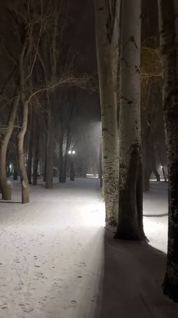 Снег в Феодосии , комсомольский парк #феодосия #крым смотреть онлайн