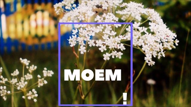 Витебщина в сердце моем!!! смотреть онлайн