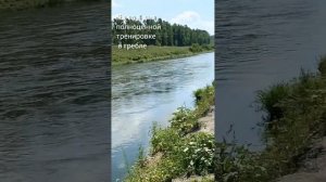 Как мы на Дон ходили. Кемпинг Кудыкина гора 2024