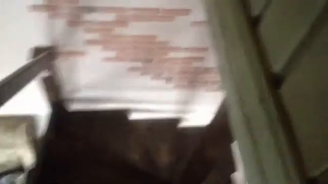 Белоруссия!!! смотреть онлайн