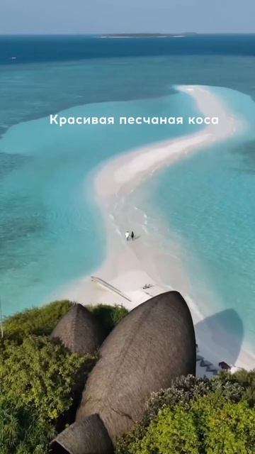 Dhigali Maldives 5* Пример расчета цен смотри у меня в инст🤍 смотреть онлайн