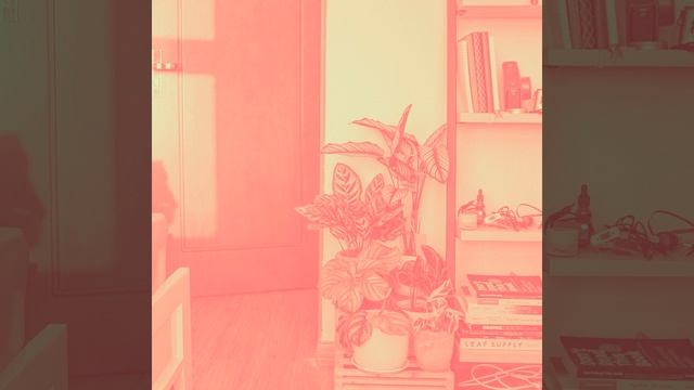 Мечты (Рестораны отеля) смотреть онлайн