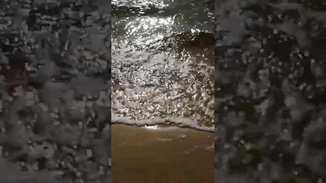 29.08.2022 ПАЛАНГА смотреть онлайн