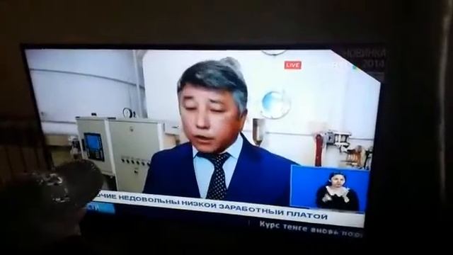 сах завод тараз мерке Бекка красавчих смотреть онлайн