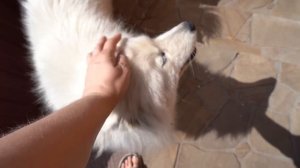 VLOG Очень страшная ночь. Что я придумала на День Рождения