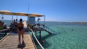 Территория отеля, море, пляж, аквапарк Pickalbatros Laguna Vista,  - Шарм-эль-Шэйх