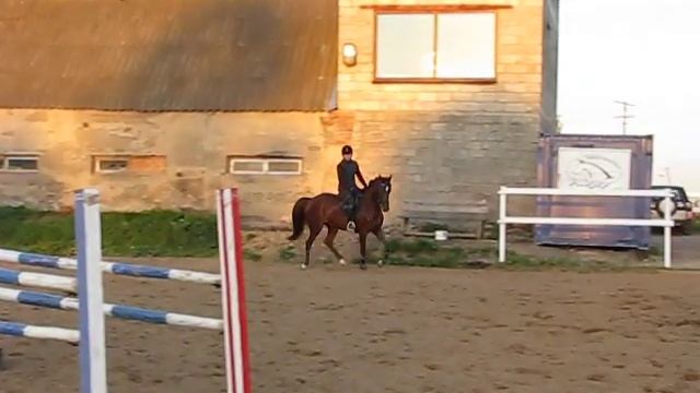 Рыж - Система смотреть онлайн