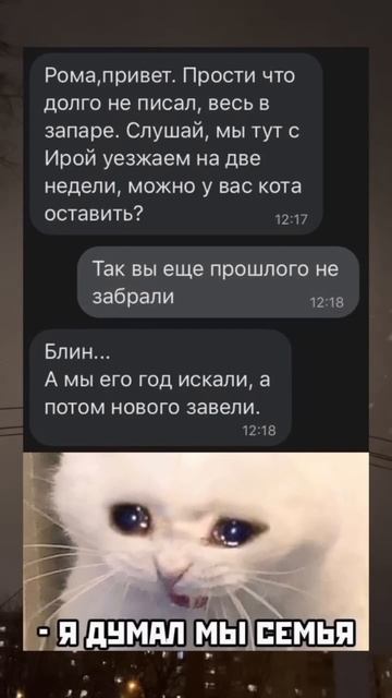 Мем #shorts #рек #рекомендации #шутки #жиза #мемы ￼ смотреть онлайн