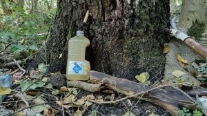 PLASTILIN. ПОИСК МЕТАЛЛОЛОМА ВОЗЛЕ СТАРОГО ЗАМКА! ИЩУ МЕДЬ В ЛЕСУ НА СВАЛКЕ. КАК ЗАРАБОТАТЬ ДЕНЬГИ