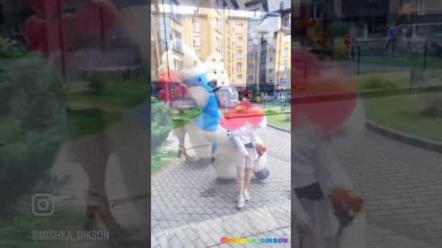 Белый мишка Диксон смотреть онлайн